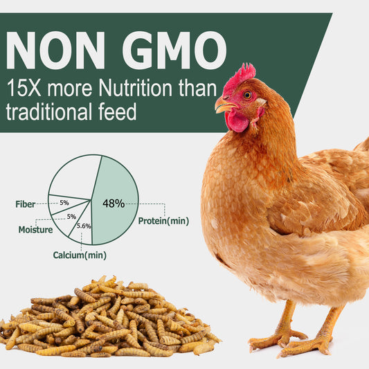 5LB Dried Black Soldier Fly Larvae for Chickens, NON-GMO, NO Additive,100% Natural Chicken Food