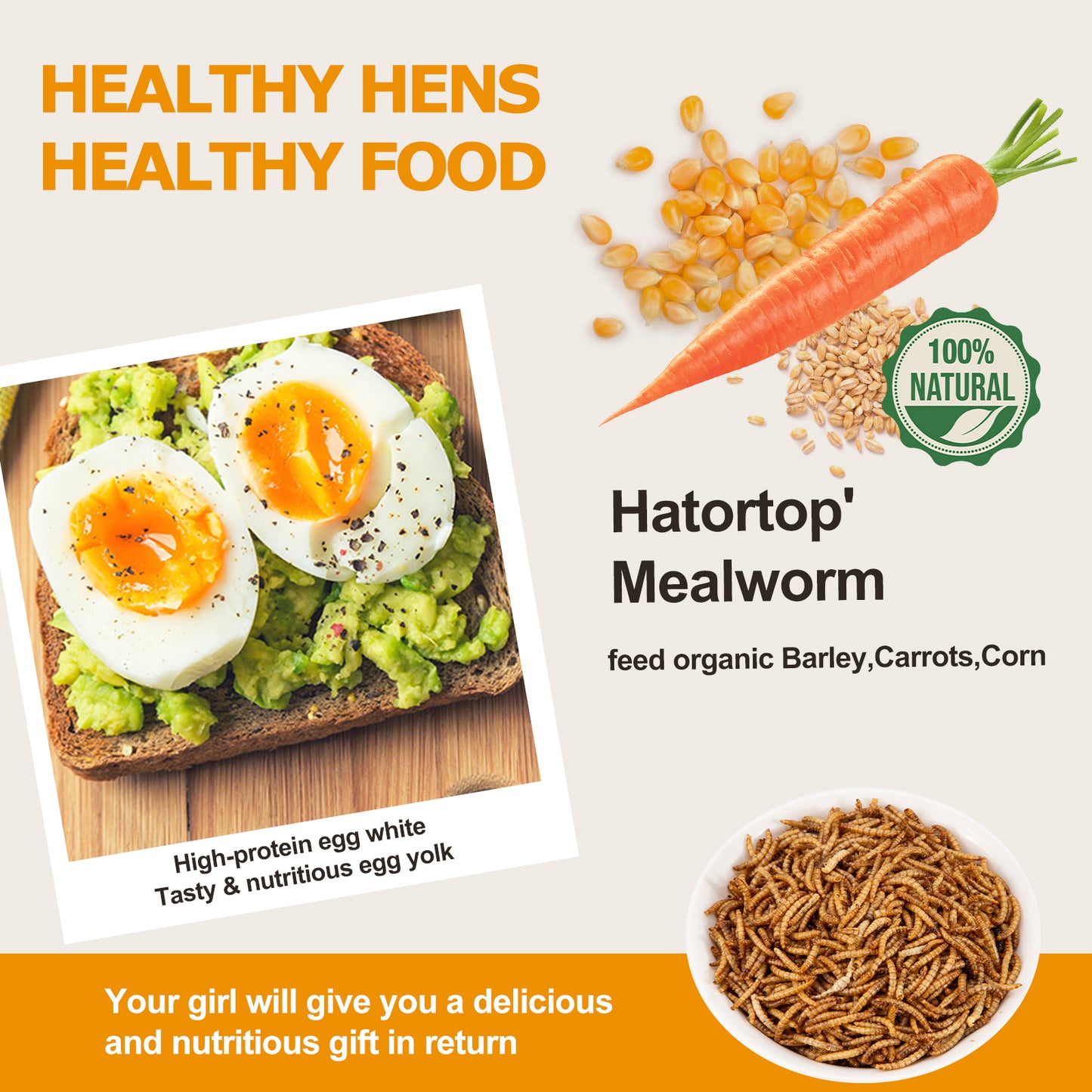 HATORTOP 5LB MealWorms for Chickens Treats Bulk