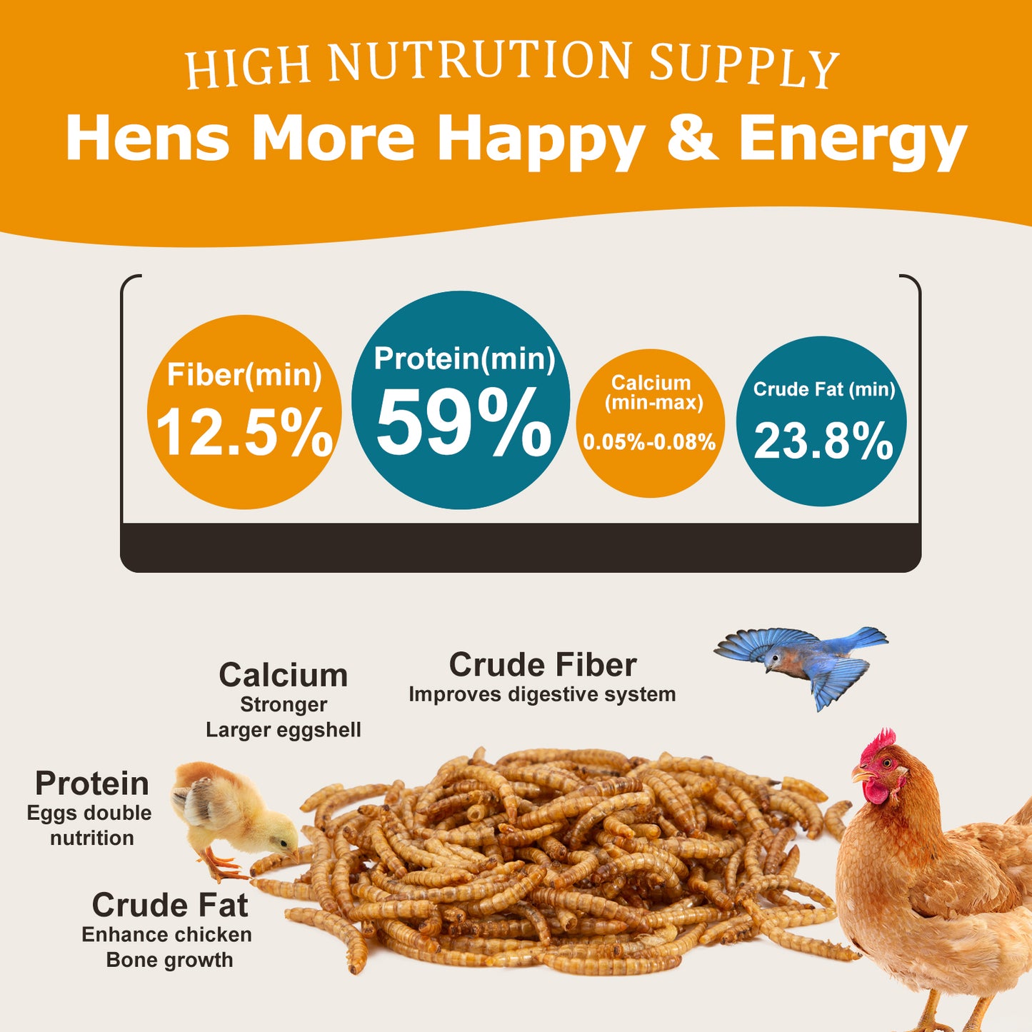 HATORTOP 5LB MealWorms for Chickens Treats Bulk
