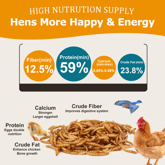 10LB Dried Mealworms for Chickens, Birds, Poultry to Boost Immunity, Extend Egg Production, Shorten Molting Period