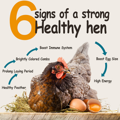 2LB High Protein Dried Mealworms for Chickens, Birds, Wild Birds, Blue Birds, Turtles, Hamsters to Improve Nutrition and Enhance Immunity
